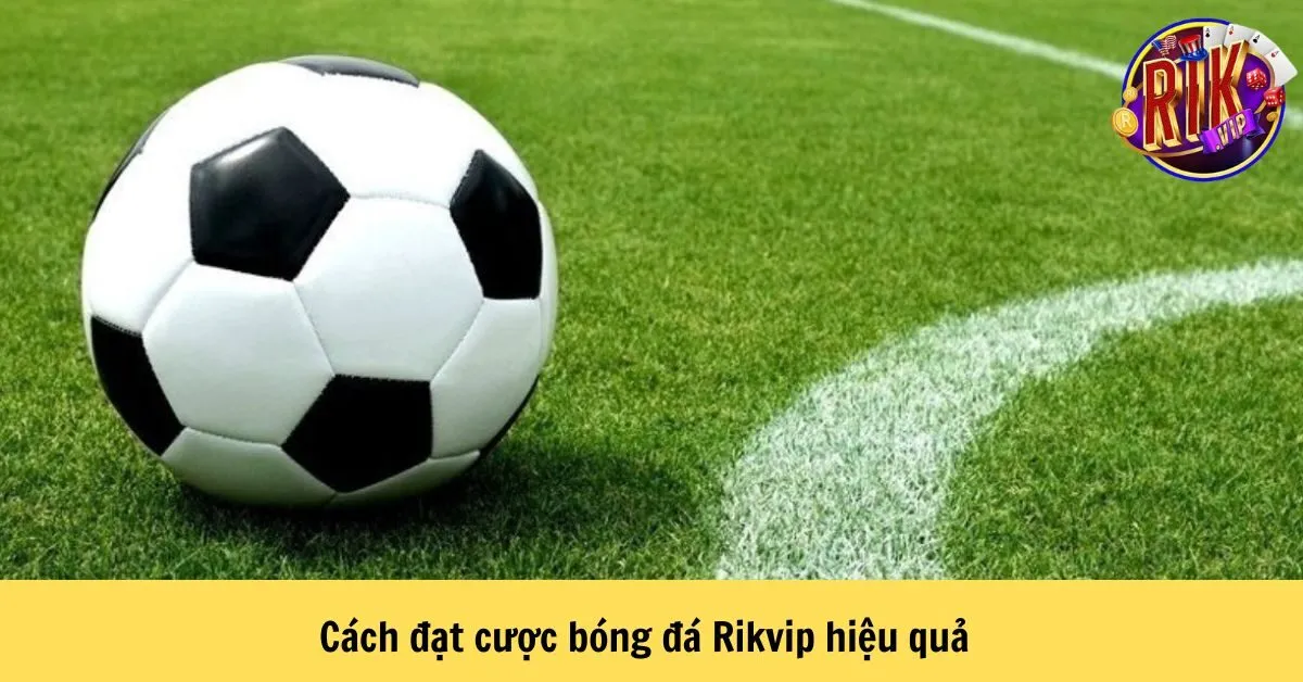 Cách đặt cược bóng đá Rikvip hiệu quả